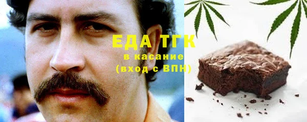 шишки Осташков