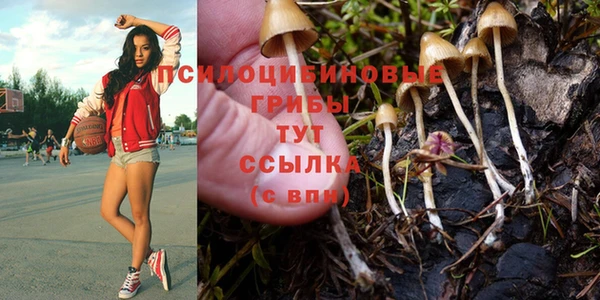 круглые Вязники