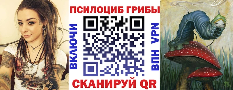 Псилоцибиновые грибы Psilocybine cubensis  OMG tor  Иваново 